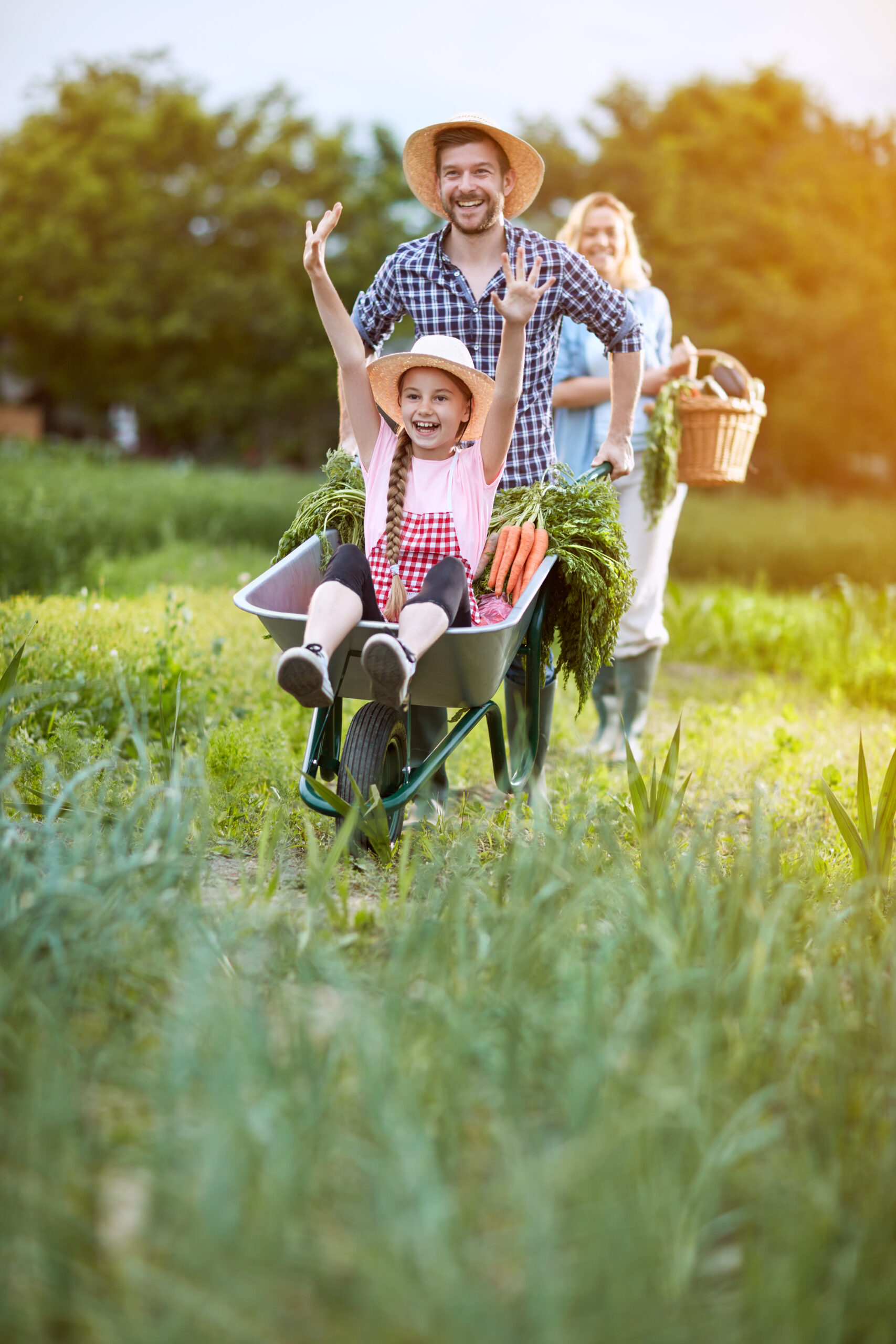 Cheerful girl in wheelbarrow